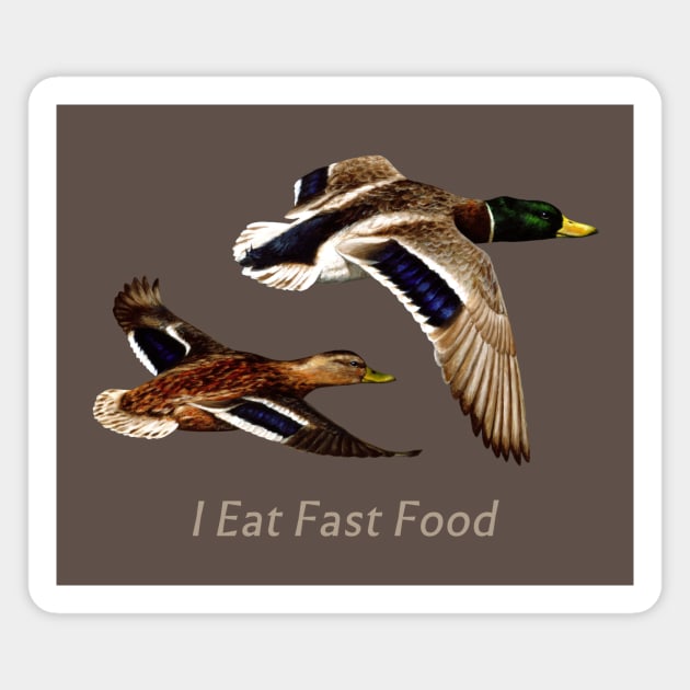 Funny I Eat Fast Food Duck Hunting Magnet by csforest